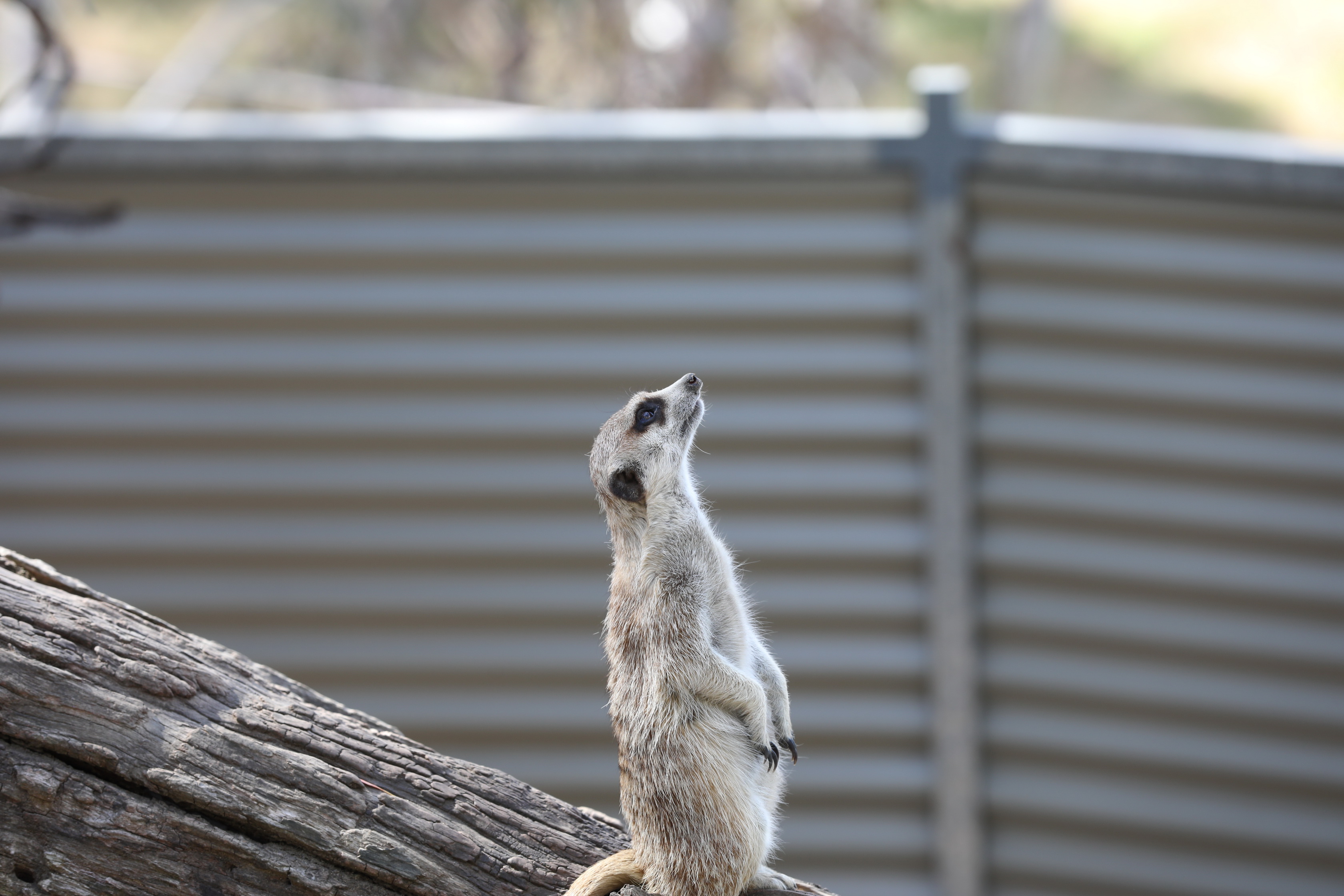 2019 11 22 16 28 27 Canon EOS 5D Mark IV 0029